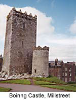 Millstreet Castle